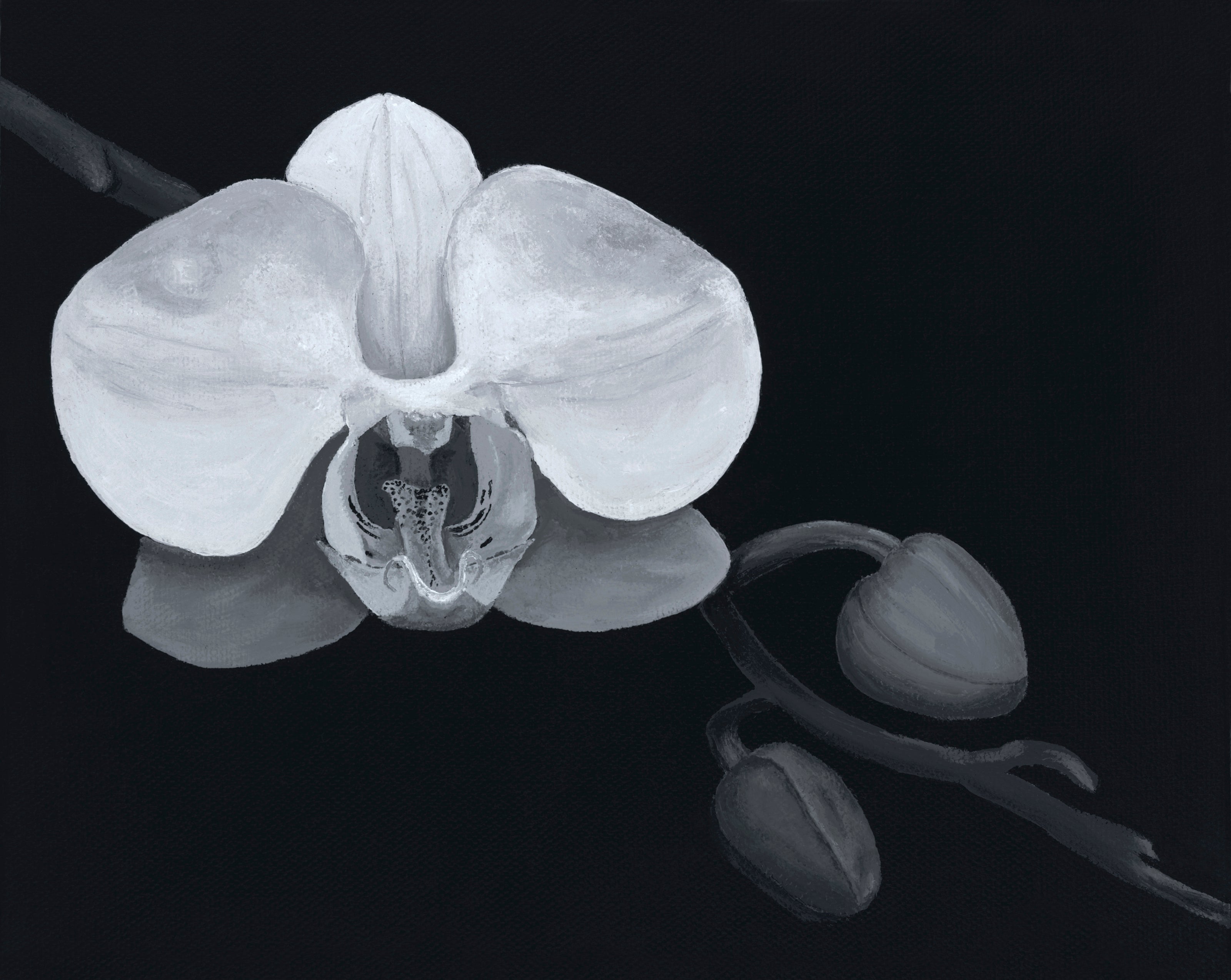 black and white painting of flowers