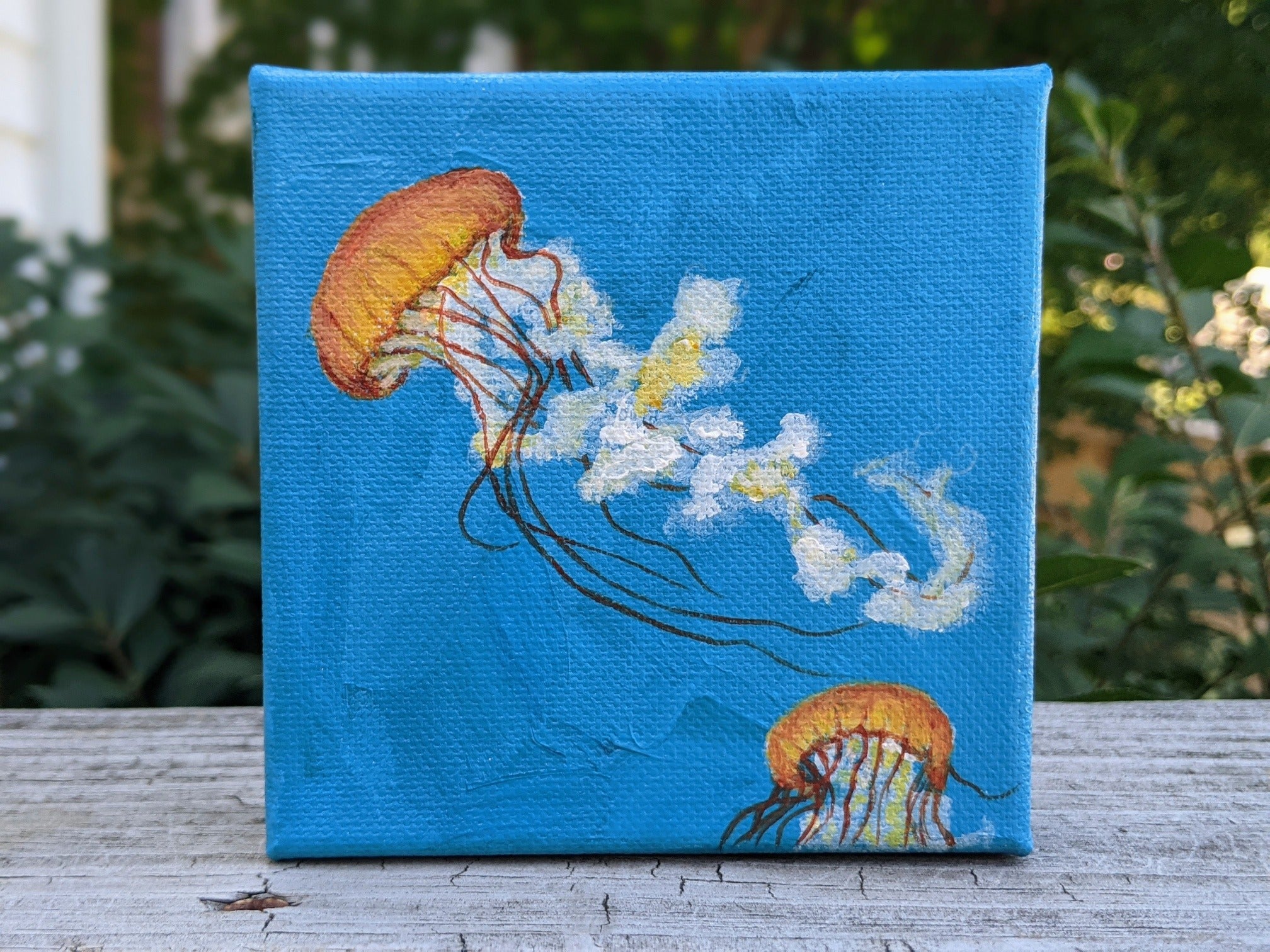 painting of jellyfish