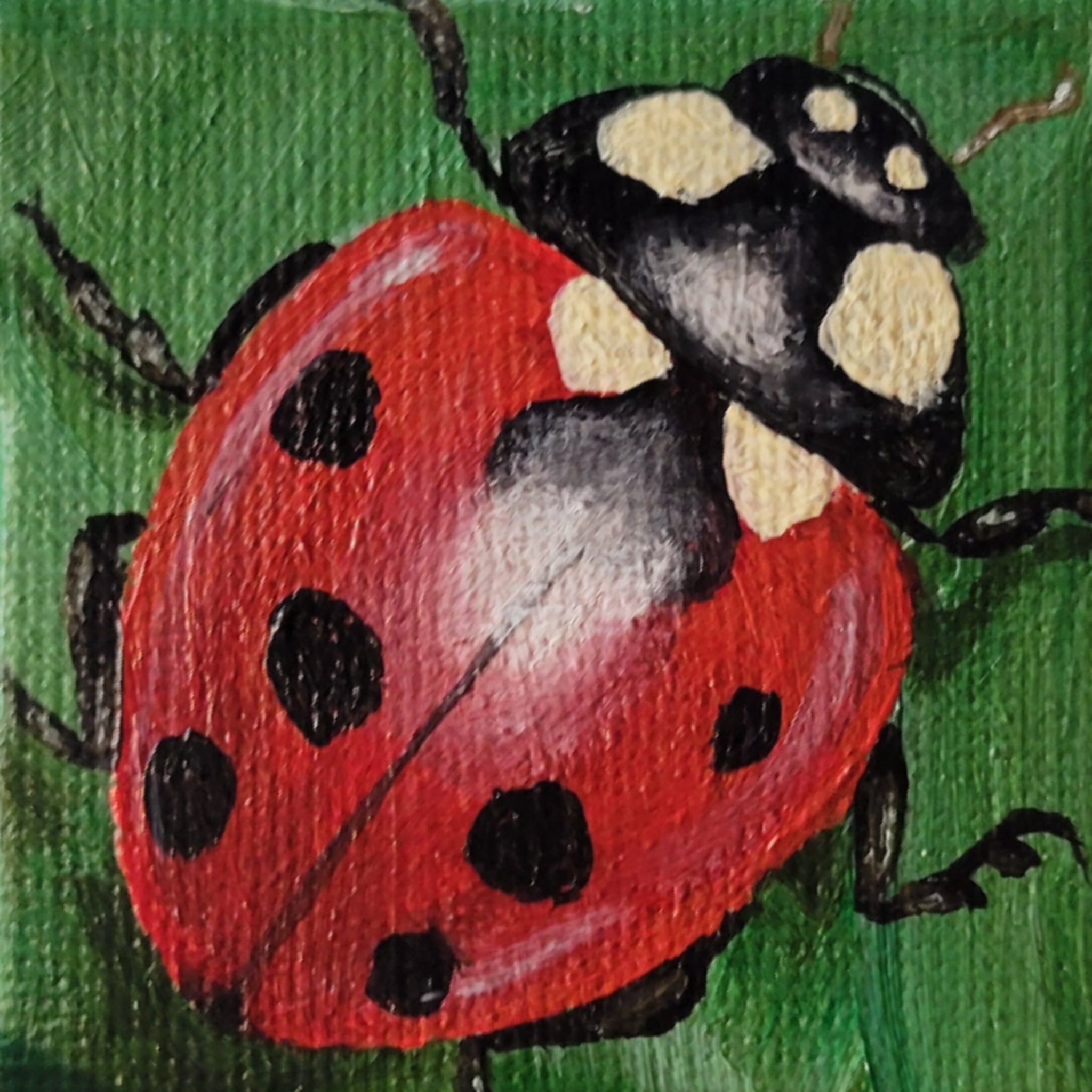 painting of lady bug on leaf