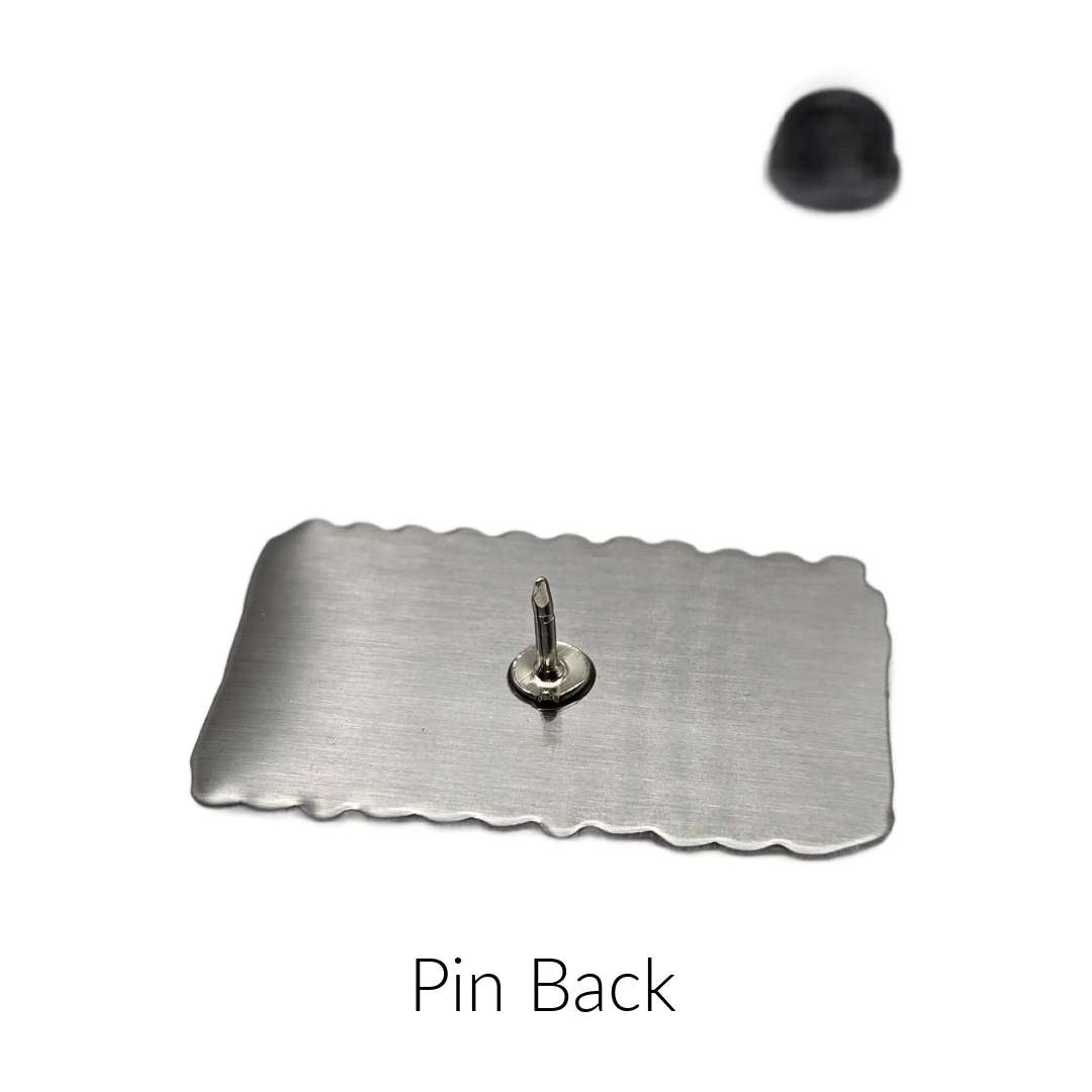SAFE Pins