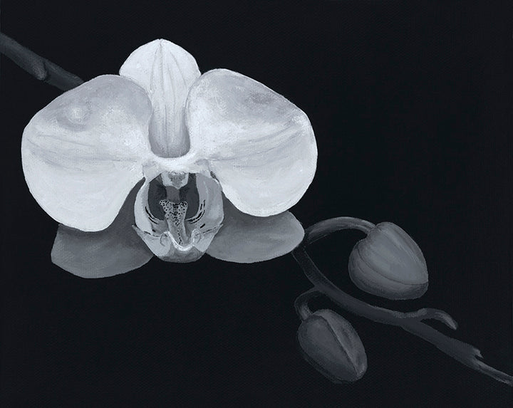 Fierce Beauty original acrylic artwork black and white orchid high detail contrast