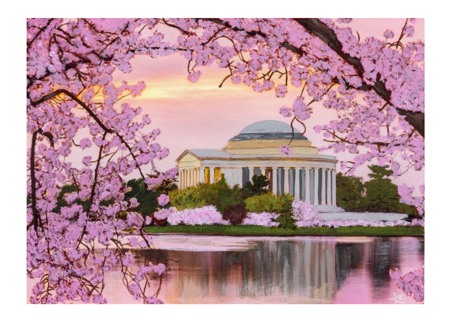 Cherry Blossoms at the Jefferson Memorial - Print