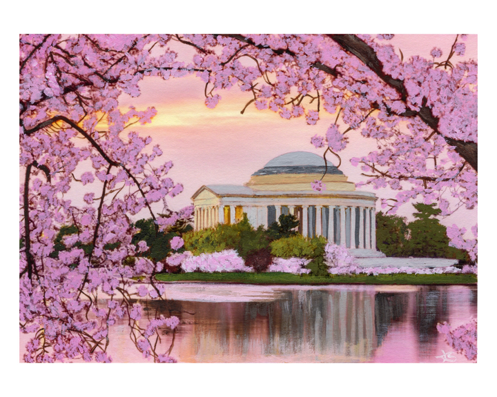 Cherry Blossoms at the Jefferson Memorial