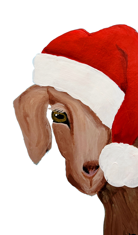 Hand painted  front view of brown goat wearing a red santa hat vinyl sticker Kellie Sansone Creates