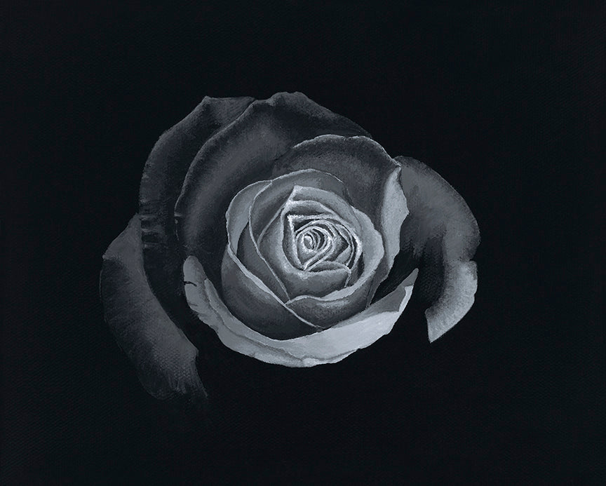 Graceful Beauty print black and white rose bloom close up high detail contrast