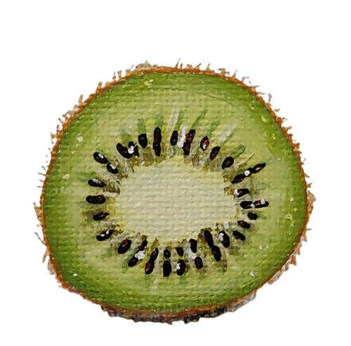 Hand painted slice of green kiwi, black seeds, brown fuzzy ring on the outside vinyl sticker Kellie Sansone Creates