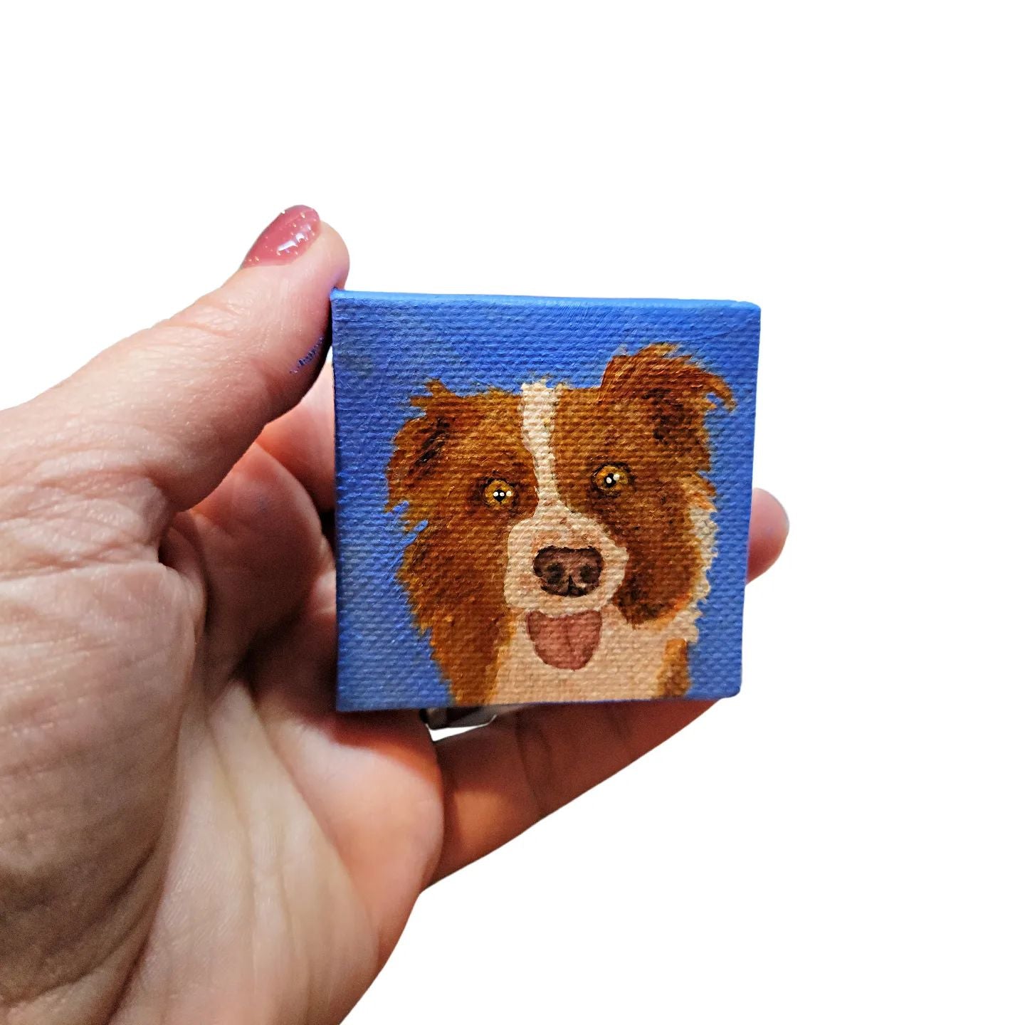 brown sheep dog mini portrait on blue background