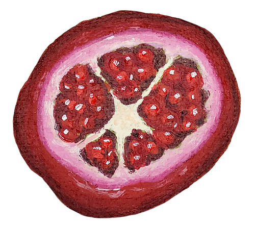 Hand painted sliced open pomegranate with dark pink seeds and white pith vinyl sticker Kellie Sansone Creates