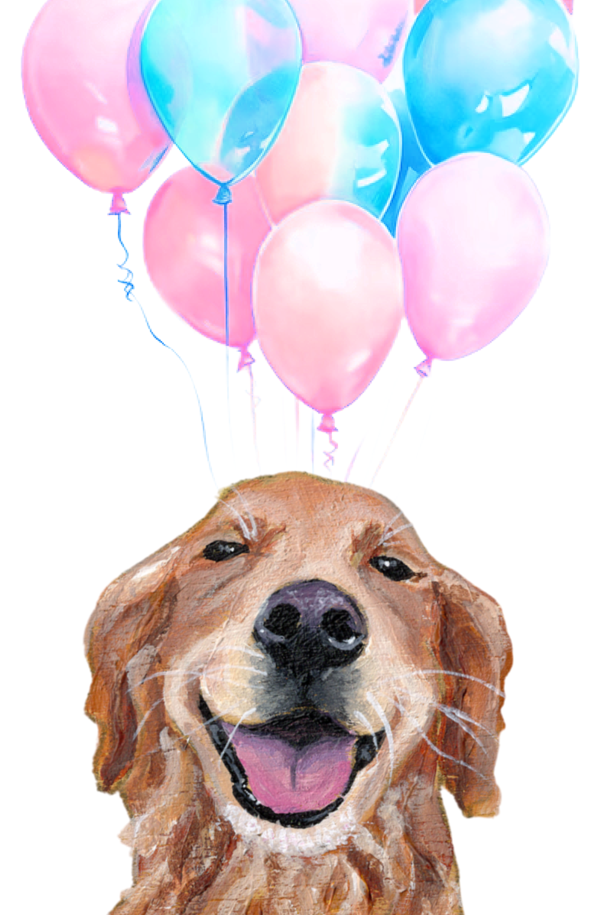 Hand painted greeting card design. White background with golden retriever portrait and pink and blue birthday balloons floating above. From Kellie Sansone Creates